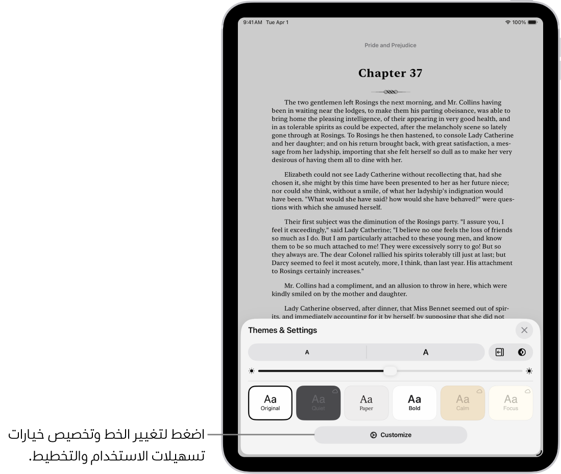 صفحة من كتاب في تطبيق الكتب. خيارات السمات والإعدادات تعرض عناصر التحكم في حجم الخط وطريقة عرض التمرير ونمط قلب الصفحة والسطوع وأنماط الخط.