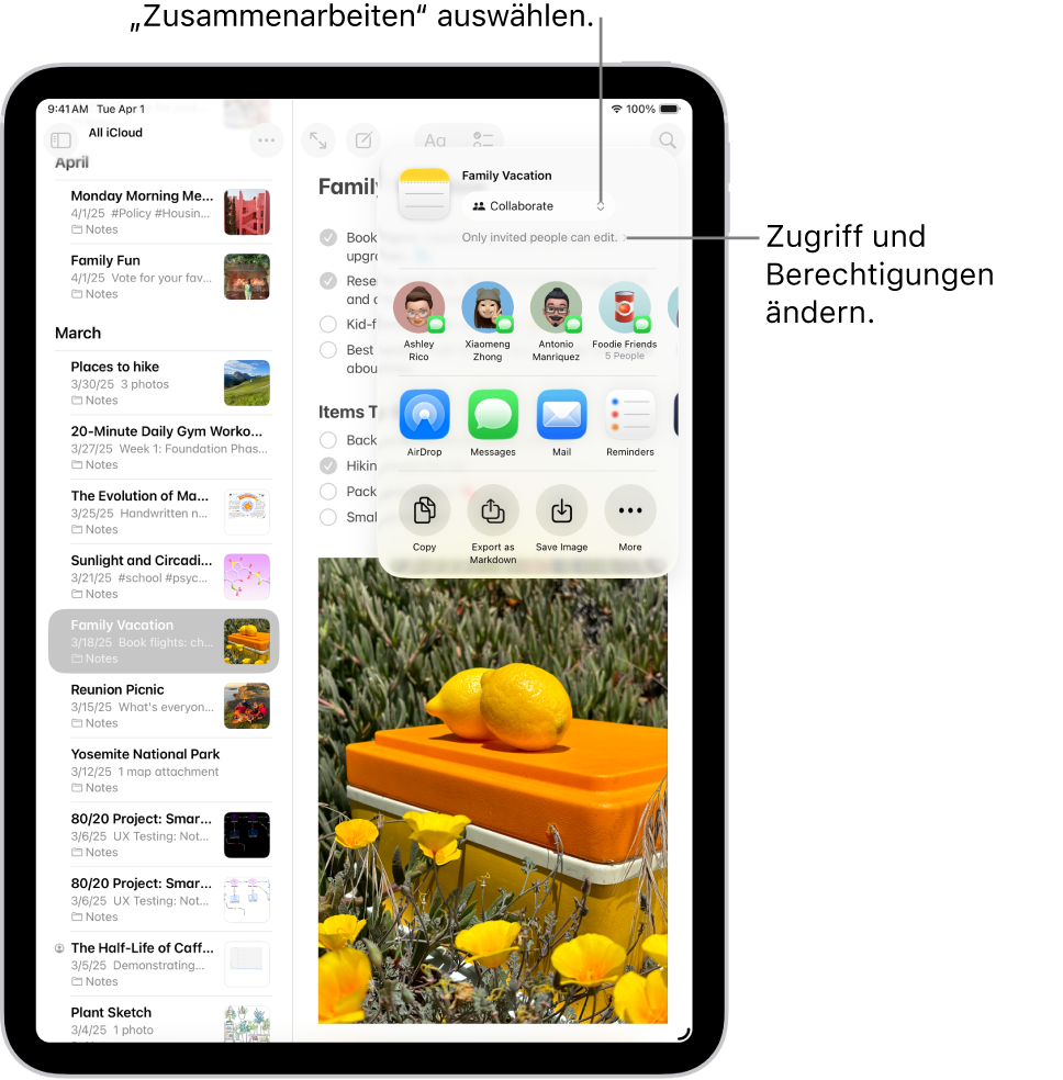 Eine Einladung zum Zusammenarbeiten an einer Checkliste in der App „Notizen“, in der die Freigabeoption „Zusammenarbeiten“ und die Zugriffs- und Berechtigungseinstellung „Nur von dir eingeladene Personen dürfen bearbeiten“ angezeigt wird. Vier potenzielle Empfänger:innen, darunter eine Gruppe, werden in einer Zeile darunter angezeigt. Die nächste Zeile enthält verschiedene Möglichkeiten zum Teilen der Notiz: „AirDrop“, „Nachrichten“, „Mail“ und „Erinnerungen“. Die letzte Reihe enthält Tasten zum Kopieren, Exportieren und Sichern der Notiz.