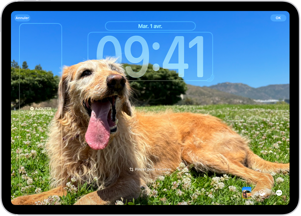 Un écran affichant des options de personnalisation pour l’écran verrouillé de l’iPad avec une photo de la Terre. À gauche se trouvent des widgets pour Horloge, Calendrier et Météo. À droite se trouvent des options pour la police et la couleur de l’horloge.