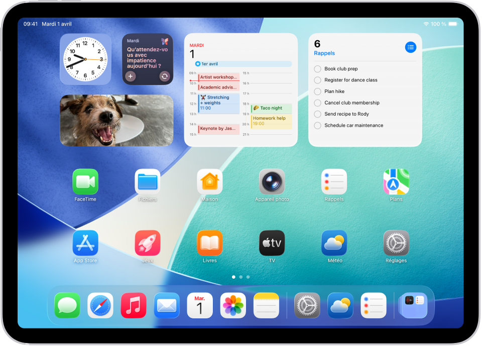 Une capture d’écran montrant un exemple d’écran d’accueil de l’iPad.