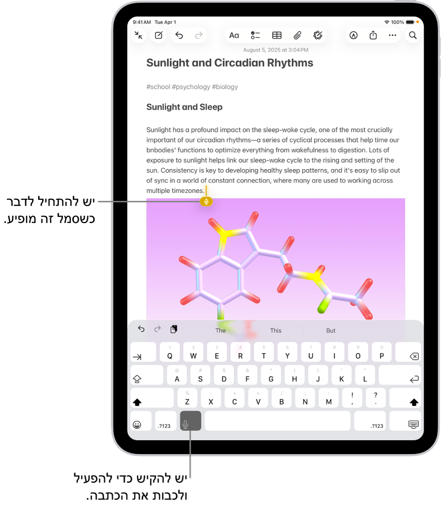 המקלדת שעל המסך פתוחה ביישום ״פתקים״. הכפתור ״הכתבה״ בתחתית המקלדת נבחר והכפתור ״הכתבה״ מופיע מתת לנקודת הכניסה בתוך שדה המלל.
