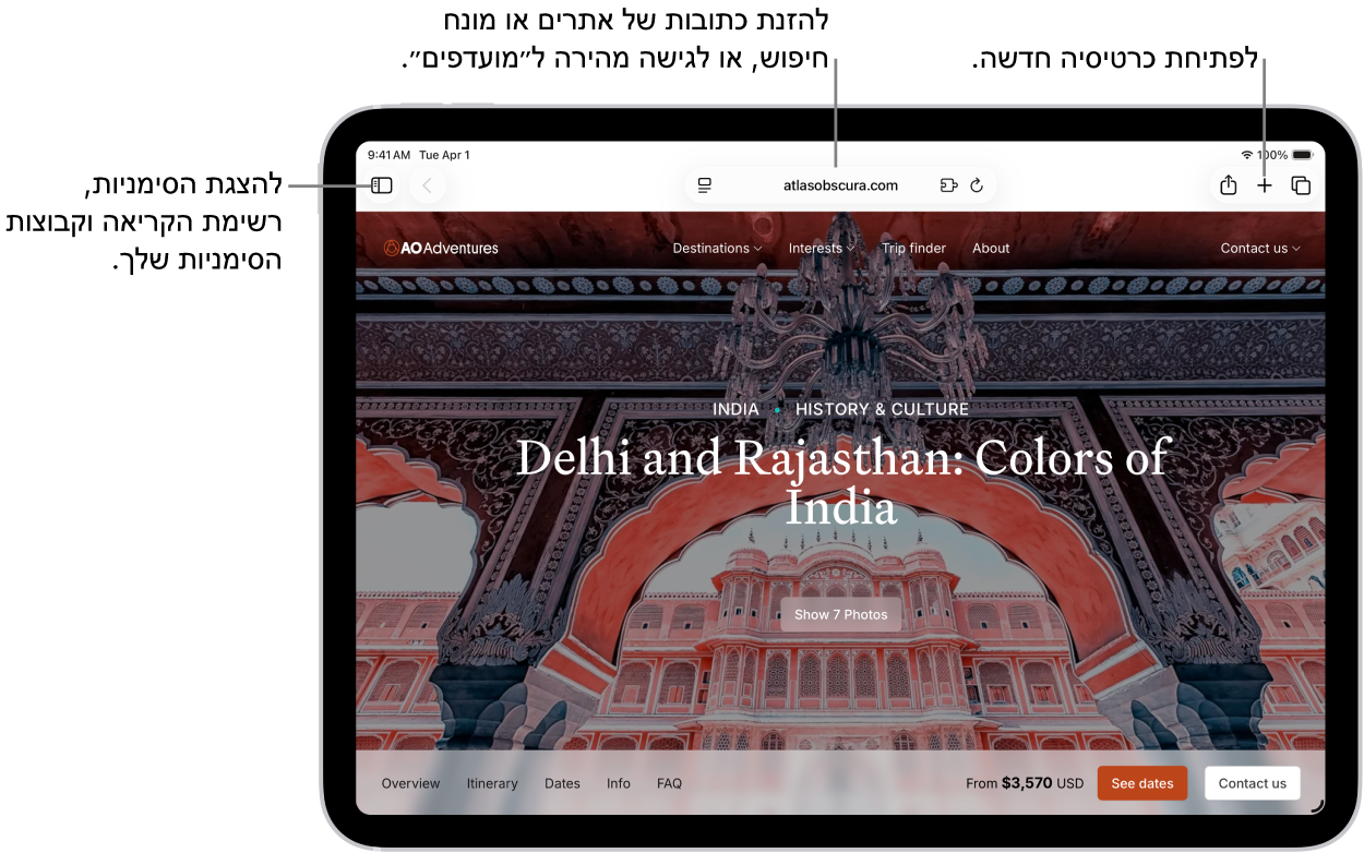 עמוד אינטרנט פתוח. לאורך החלק העליון, משמאל לימין, נמצאים הכפתור ״סרגל הצד״, הכפתור ״הקודם״, שדה החיפוש, הכפתור ״שיתוף״, הכפתור ״כרטיסיה חדשה״ והכפתור ״סקירת כרטיסיות״.