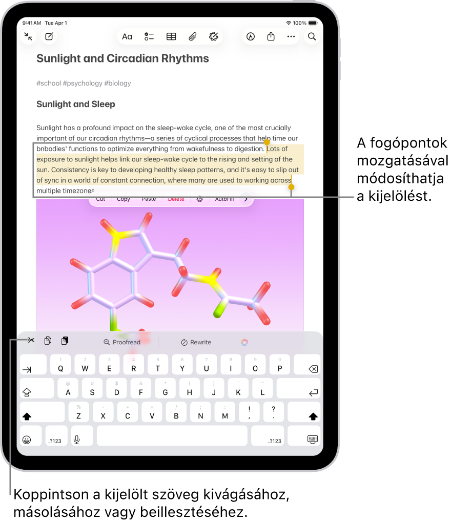 Szöveg van kijelölve egy jegyzetben a Jegyzetek appban. A kijelölt szöveg felett a többek közt a Kivágás, a Másolás és a Beillesztés lehetőséget tartalmazó gombmenü látható. A kijelölt szöveg kiemelve látható, és a fogópontok segítségével tetszés szerint módosítható.