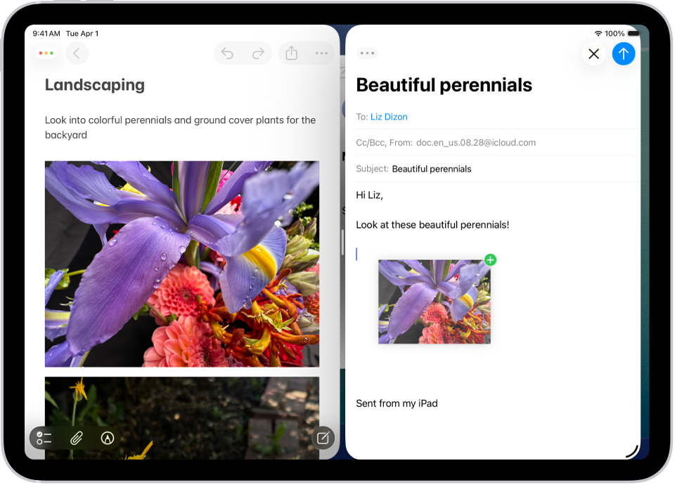 Più app sono aperte contemporaneamente e sono posizionate le une di fianco alle altre. L’app Note è aperta a sinistra, mentre a destra un’email è aperta. Una fotografia da Note viene trascinata nell’email.