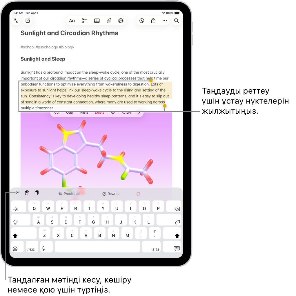 Мәтін «Жазбалар» қолданбасындағы жазбада таңдалған. Таңдалған мәтіннің үстінде «Кесу», «Көшіру» және «Қою» түймелерін қамтитын түймелер мәзірі бар. Таңдалған мәтін екі жағында таңдауды реттеу үшін ұстау нүктелерімен бөлектеледі.