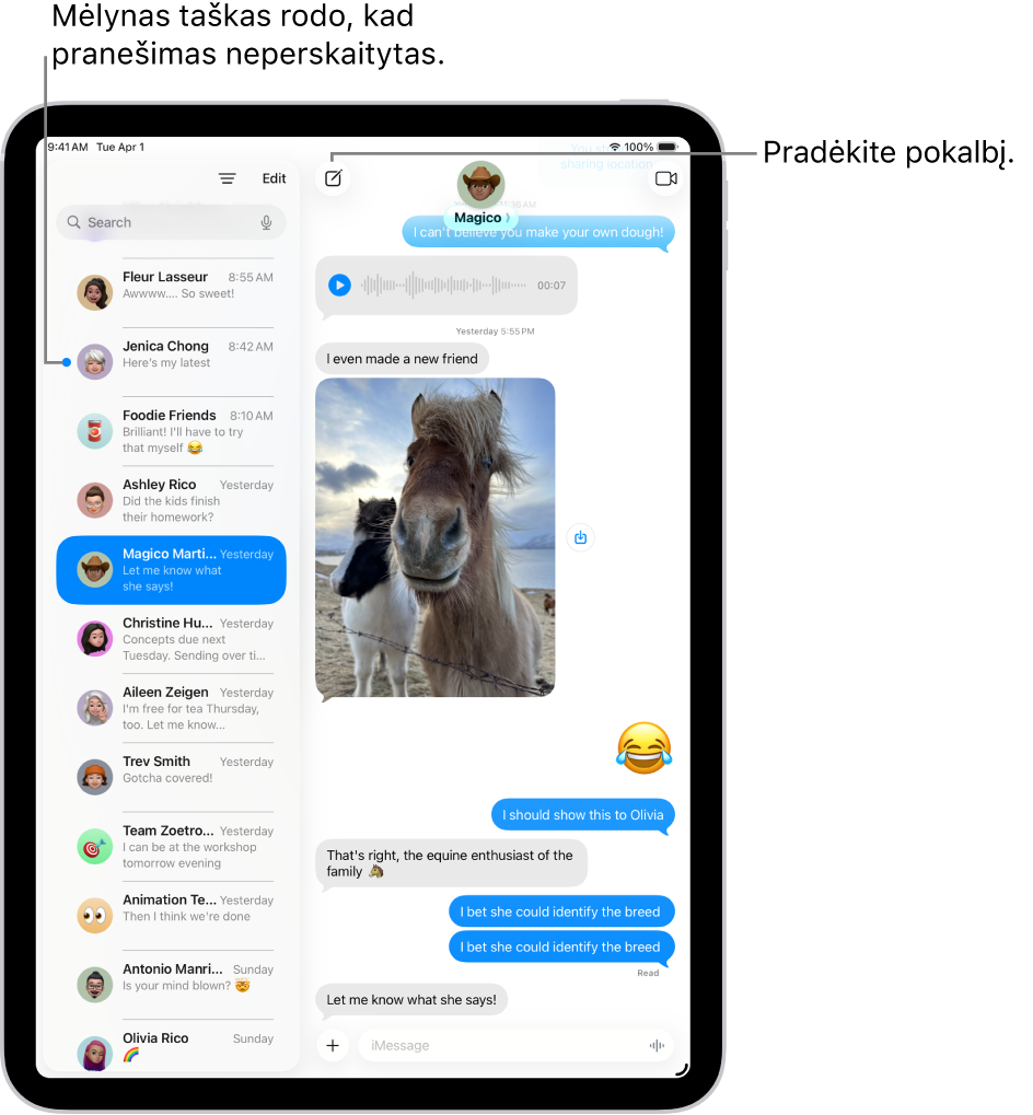 Pokalbių sąrašas programoje „Žinutės“ kairėje ir pokalbio transkripcija dešinėje. Neperskaityta žinutė pažymėta mėlynu tašku.