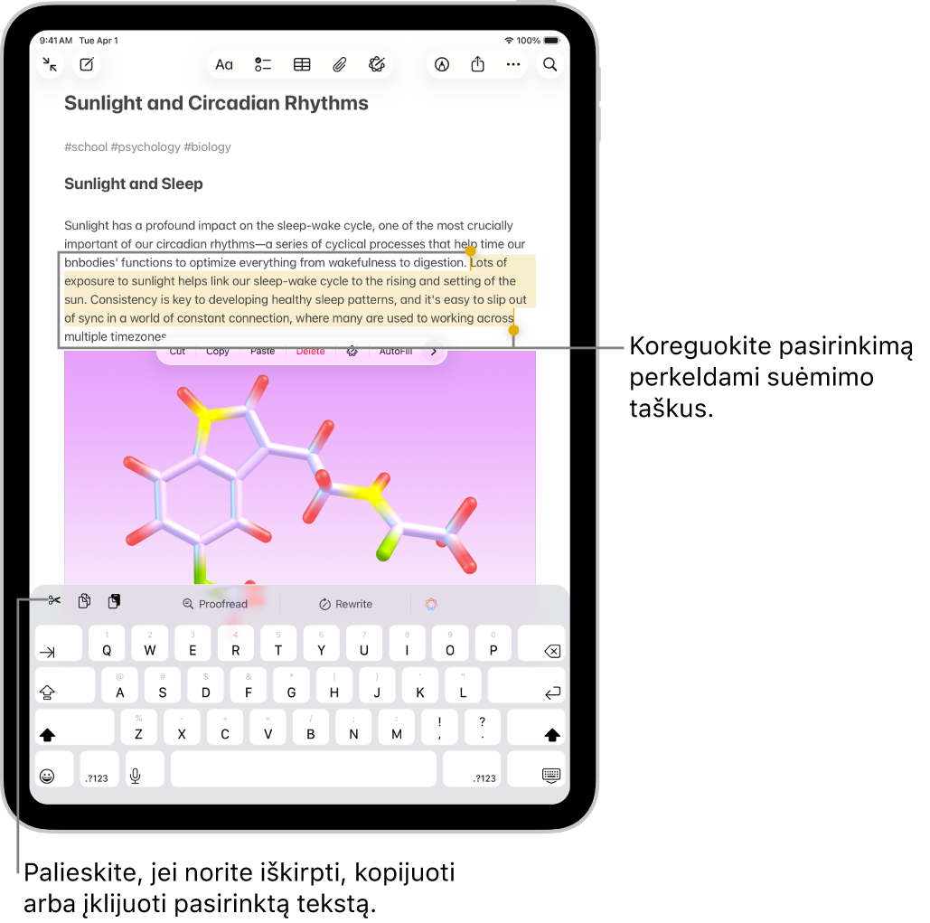 Programoje „Užrašai“ užraše pasirinktas tekstas. Virš pasirinkto teksto yra mygtukų meniu, įskaitant „Iškirpti“, „Kopijuoti“ ir „Įklijuoti“. Pasirinktas tekstas paryškinamas, o abiejuose jo galuose yra taškai, kuriais galima koreguoti pasirinkimą.