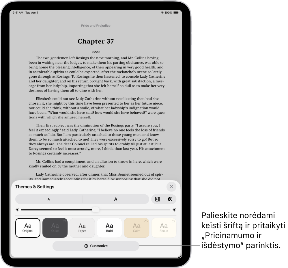 Programos „Knygos“ puslapis. Meniu „Temos ir nustatymai“ rodomi valdikliai, skirti keisti šrifto dydį, slinkimo rodinį, puslapių vertimo būdą, ryškumą ir šrifto stiliai.