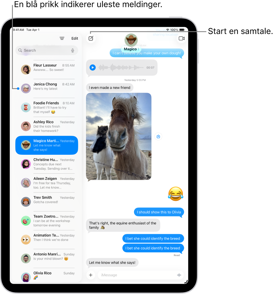 En Meldinger-samtaleliste vises til venstre og en samtaleavskrift vises til høyre. En ulest melding er merket med en blå prikk.