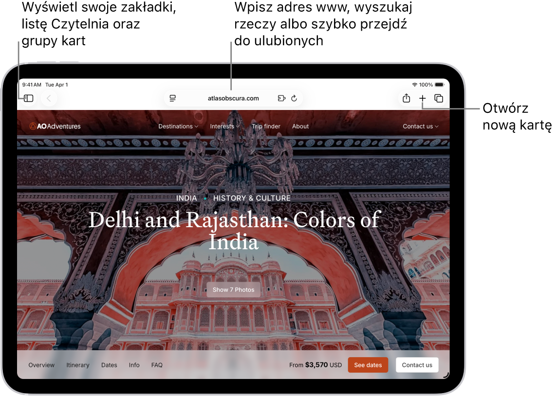 Otwarta strona internetowa. Wzdłuż górnej krawędzi ekranu, od lewej, widoczne są: przycisk paska bocznego, przycisk przechodzenia wstecz, pole wyszukiwania, przycisk udostępniania, przycisk nowej karty oraz przycisk przeglądu kart.