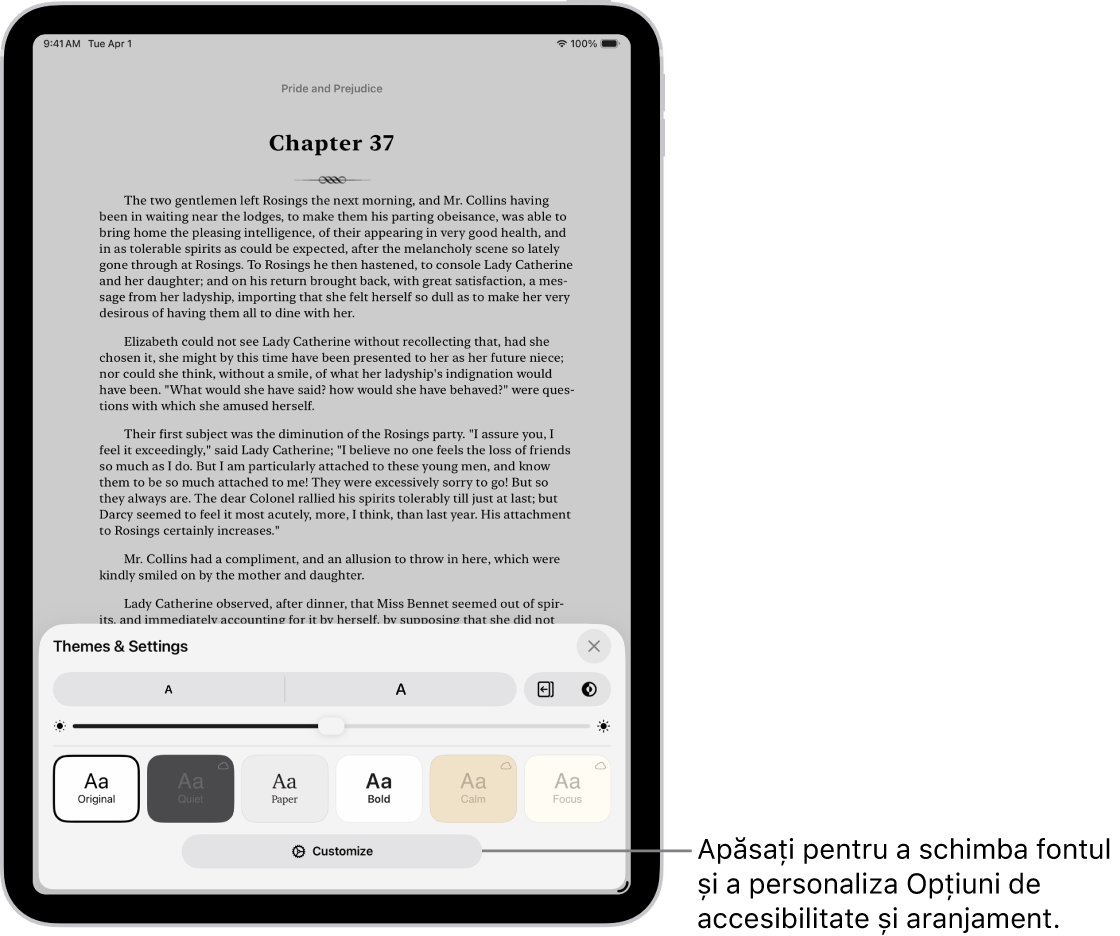 O pagină dintr-o carte în aplicația Cărți. Opțiunile Teme și Configurări afișează comenzi pentru dimensiunea fontului, afișarea derulabilă, stilul de întoarcere a paginilor, luminozitate și stilurile de font.