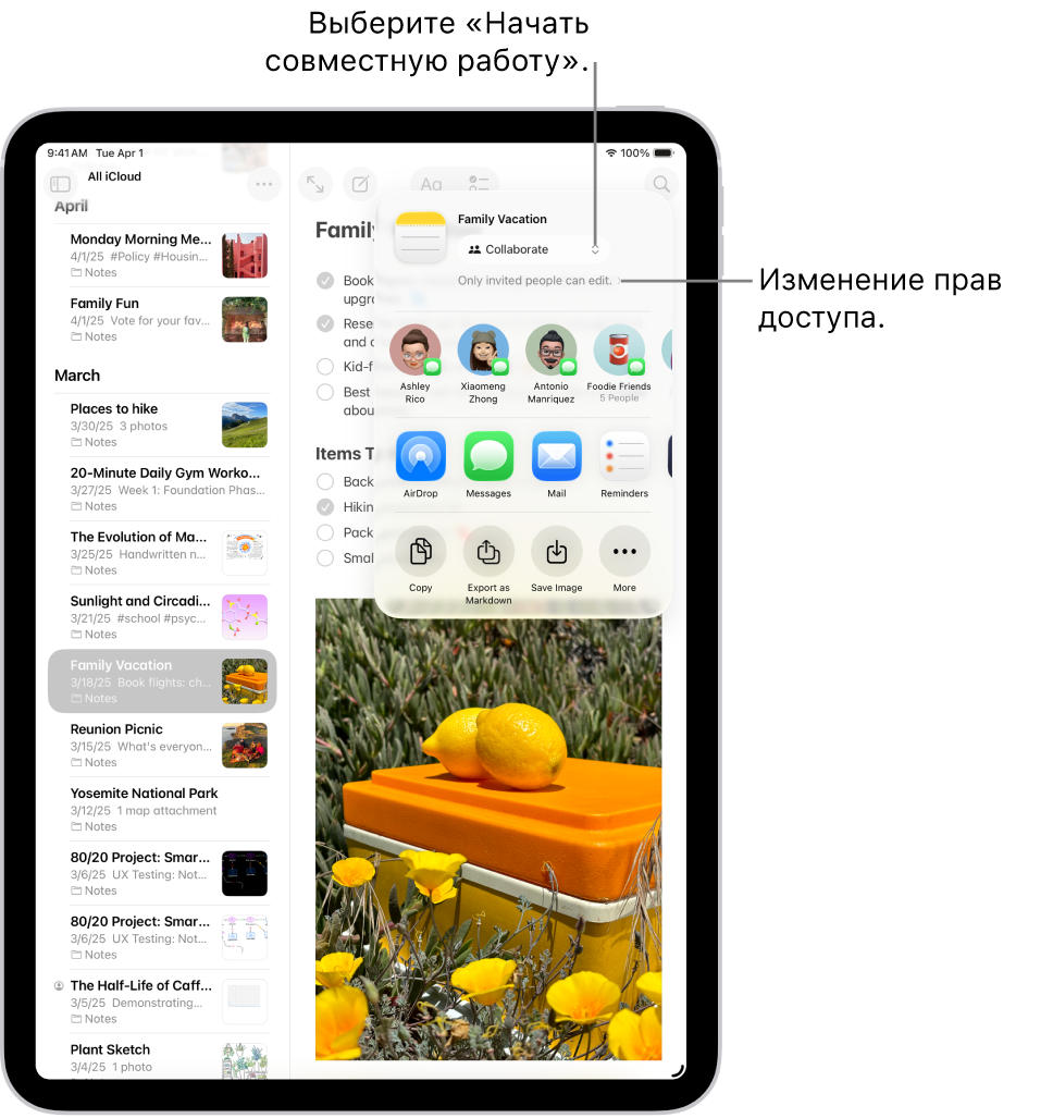 Приглашение к совместной работе над контрольным списком в Заметках. Показаны вариант отправки «Совместная работа» и настройка прав доступа «Редактировать могут только приглашенные участники». Ниже показан ряд из четырех возможных получателей, в том числе группа. В следующем ряду представлены несколько вариантов для отправки заметки: AirDrop, Сообщения, Почта и Напоминания. В последнем ряду доступны кнопки для копирования, экспорта и сохранения заметки.