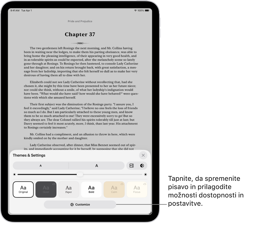 Stran knjige v aplikaciji Knjige. Možnosti Teme in nastavitve, ki prikazuje krmilne funkcije za velikost pisave, drsni pogled, slog obračanja strani, svetlost in možnosti sloga.
