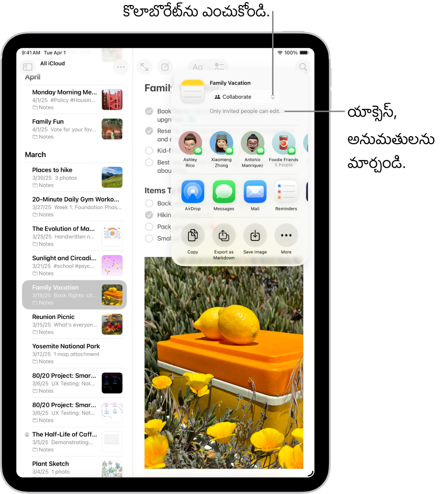 షేర్ ఎంపిక కోసం కొలాబొరేట్, అలాగే యాక్సెస్ మరియు అనుమతి సెట్టింగ్ వలన “మీరు ఆహ్వానించిన వ్యక్తులు మాత్రమే ఎడిట్ చేయగలరు” అని చూపుతున్న నోట్స్లో చెక్లిస్ట్కు కొలబొరేషన్ ఆహ్వానం. ఒక గ్రూప్తో సహా స్వీకర్తలు అయ్యే అవకాశం ఉన్న నలుగురు, దిగువన వరుసను చూపుతుంది. నోట్ను షేర్ చేయడానికి వివిధ మార్గాలను అందిస్తున్న తదుపరి వరుస: AirDrop, సందేశాలు, Mail, రిమైండర్స్. చివరి వరుసలో నోట్ను కాపీ చేయడానికి, ఎగుమతి చేయడానికి, సేవ్ చేయడానికి బటన్లు ఉన్నాయి.
