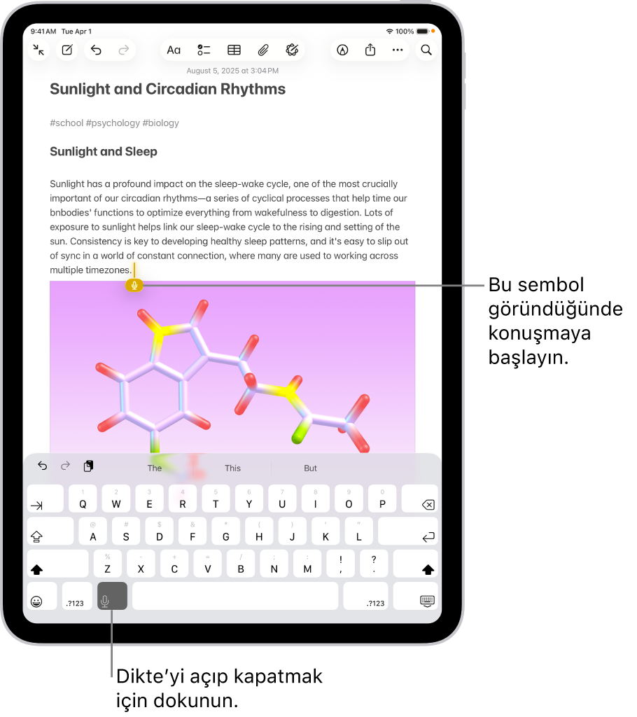 Notlar uygulamasında ekran klavyesi açık. Klavyenin en altında Dikte düğmesi seçili ve metin alanındaki ekleme noktasının altında Dikte düğmesi görünüyor.