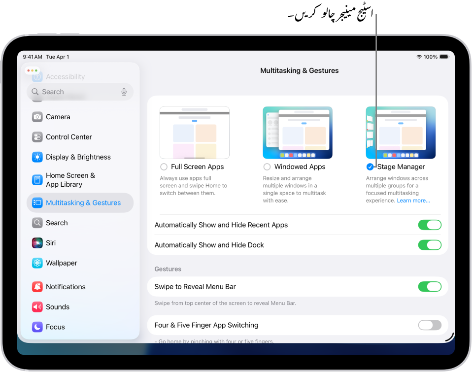‏iPad کا سیٹنگ ایپ، جس میں ملٹی ٹاسکنگ اور جیسچر کے ایسے اختیارات دکھائے جا رہے ہیں جنہیں آپ متعدد ایپ میں کام کرنے کے لیے منتخب کر سکتے ہیں۔