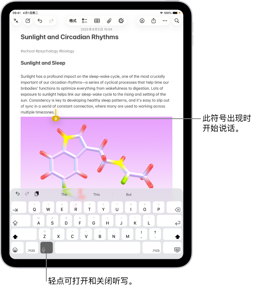 “备忘录” App 中打开的屏幕键盘。键盘底部的“听写”按钮已选中，“听写”按钮显示在文本栏中插入点的下方。