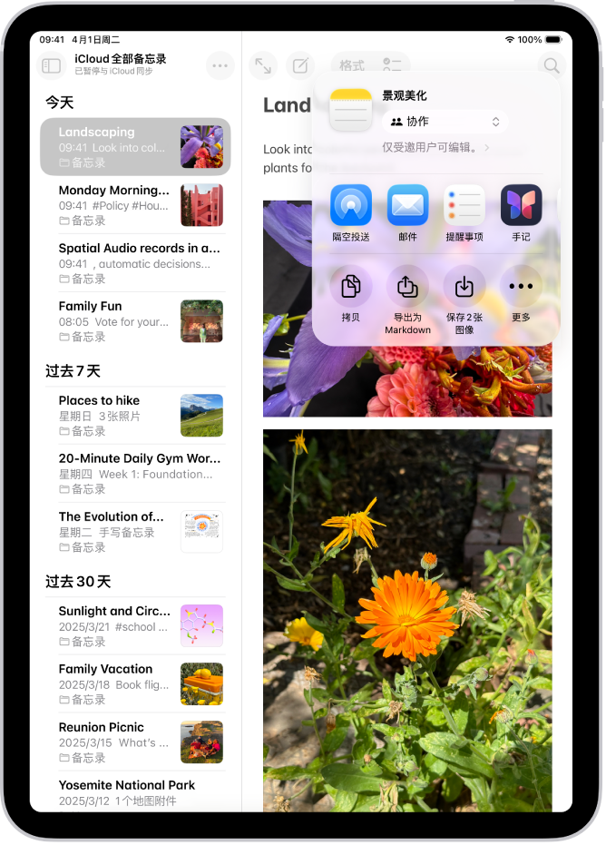 共享照片的屏幕，共享选项就在打开的照片下方，包括用于编辑共享选项的“更多”按钮。