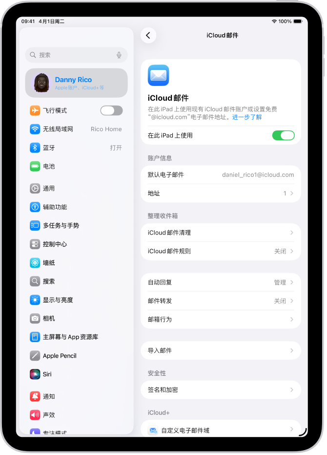 “设置” App，打开至“iCloud 邮件”屏幕。“自定义电子邮件域”位于菜单底部。