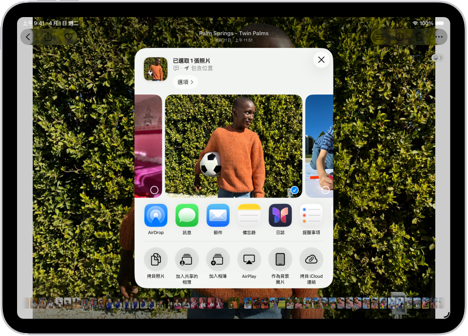 一張照片在「照片」App 中打開,螢幕中間顯示分享選項。