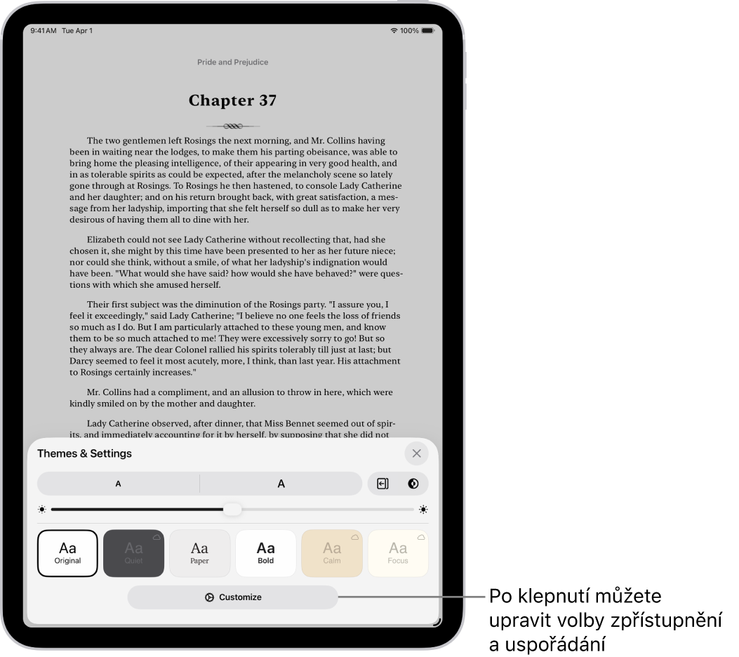 Stránka knihy v aplikaci Knihy. Volby motivů a nastavení s ovládacími prvky pro velikost písma, posouvací zobrazení, styl přechodu mezi stránkami, jas a styly písma