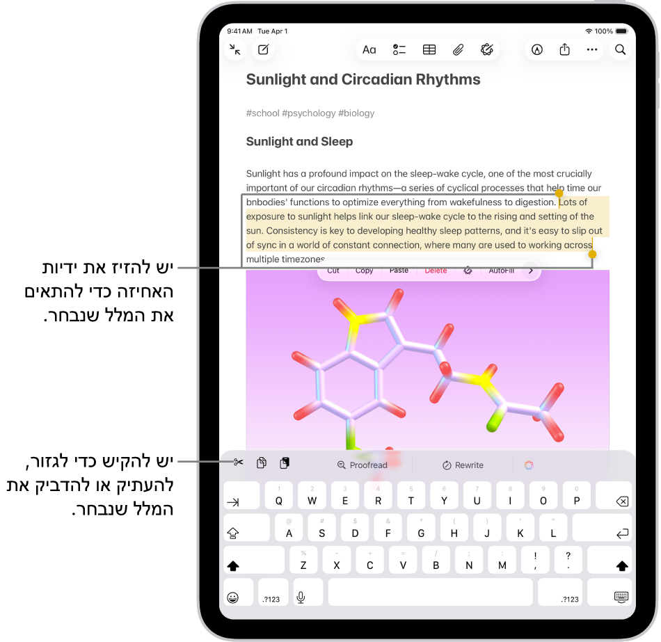 מלל נבחר בתוך פתק ביישום ״פתקים״. מעל המלל שנבחר מופיע תפריט של כפתורים שכוללים, ״גזירה״, ״העתקה״ ו״הדבקה״. המלל הנבחר מסומן ובתחילתו ובסופו מופיעות נקודות אחחיזה לשינוי הבחירה.
