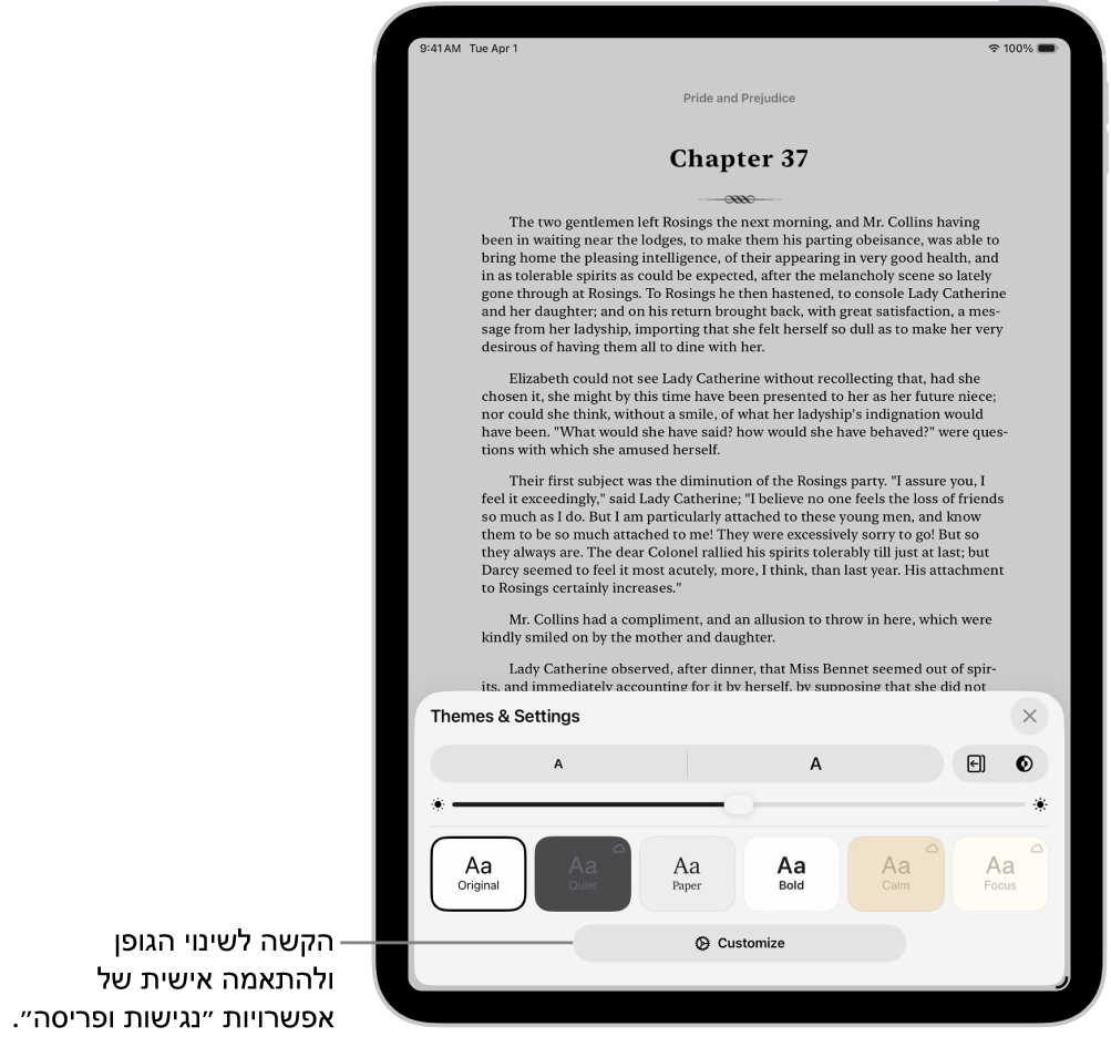 עמוד מתוך ספר בתוך היישום ״ספרים״. האפשרויות ״ערכות נושא והגדרות״ מציגות פקדים עבור גודל הגופן, תצוגת הגלילה, סגנון מעבר עמודים, בהירות וסגנונות של גופנים.