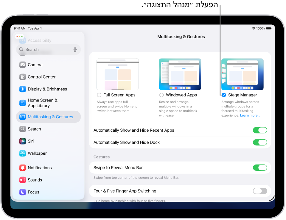 היישום ״הגדרות״ ב-iPad, שבו רואים את אפשרויות ״ריבוי משימות ומחוות״ שניתן לבחור כדי לעבוד במספר יישומים.