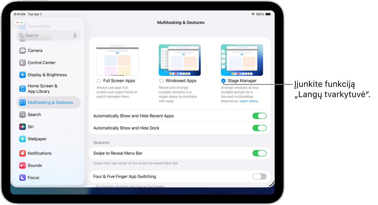 „iPad“ programoje „Nustatymai“ rodomos daugiaprocesio režimo ir gestų parinktys, leidžiančios dirbti su keliomis programomis.