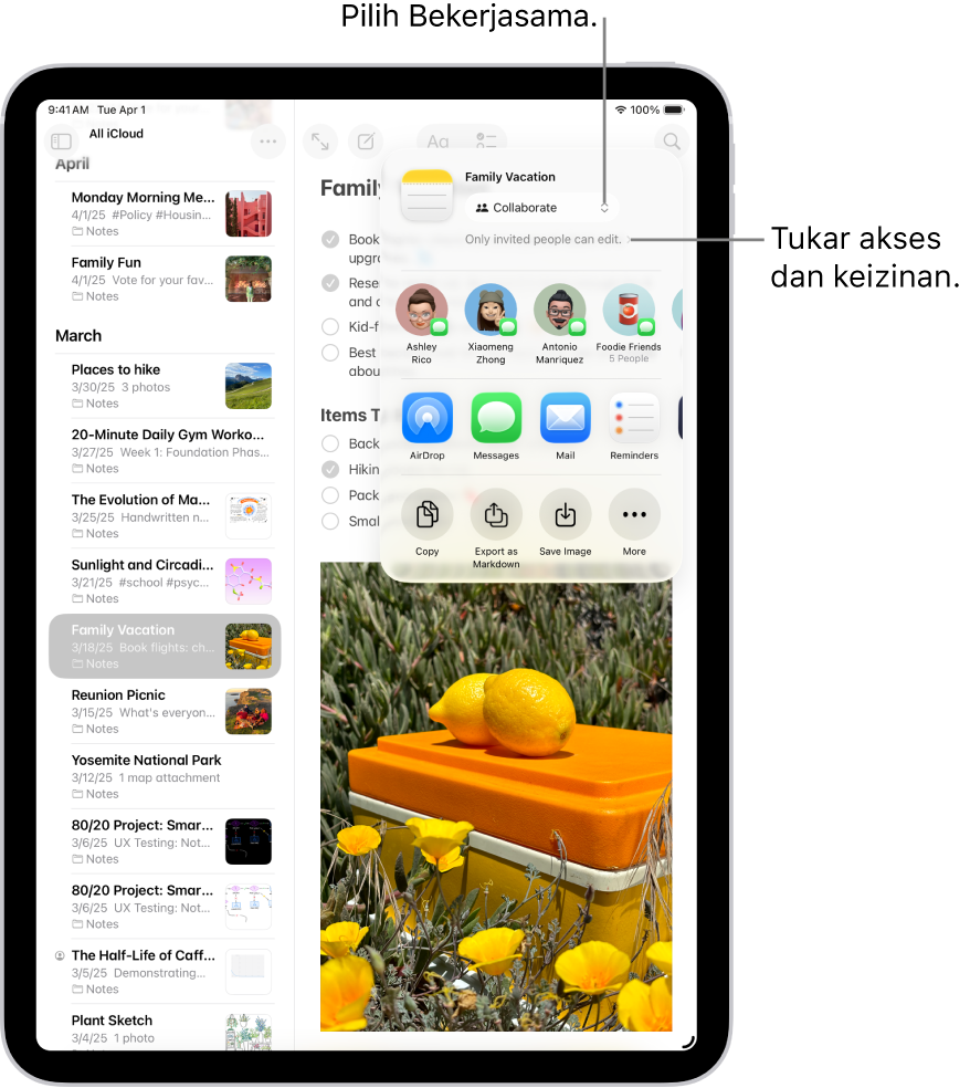 Jemputan kerjasama ke senarai semak dalam Nota, menunjukkan Bekerjasama untuk pilihan kongsi dan “Hanya orang yang anda jemput boleh mengedit” sebagai seting akses dan keizinan. Empat penerima berkemungkinan, termasuk kumpulan, membentuk baris di bawahnya. Baris seterusnya menawarkan cara yang berbeza untuk berkongsi nota: AirDrop, Mesej, Mail dan Peringatan. Baris terakhir mengandungi butang untuk menyalin, mengeksport dan menyimpan nota.