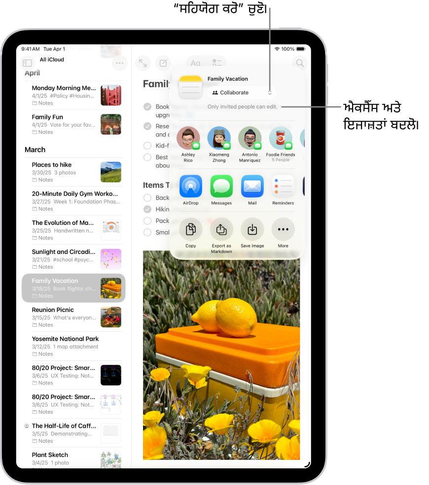 ਨੋਟਸ ਐਪ ਵਿੱਚ ਚੈੱਕਲਿਸਟ ਦਾ ਸਹਿਯੋਗੀ ਸੱਦਾ, “ਸਾਂਝਾ ਕਰੋ” ਵਿਕਲਪ ਲਈ “ਸਹਿਯੋਗ ਕਰੋ” ਅਤੇ ਐਕਸੈੱਸ ਅਤੇ ਇਜਾਜ਼ਤ ਦਿਓ ਸੈਟਿੰਗ ਦੇ ਰੂਪ ਵਿੱਚ “ਸਿਰਫ਼ ਤੁਹਾਡੇ ਵੱਲੋਂ ਸੱਦੇ ਗਏ ਲੋਕ ਹੀ ਸੋਧ ਕਰ ਸਕਦੇ ਹਨ” ਦਿਖਾਇਆ ਗਿਆ ਹੈ। ਗਰੁੱਪ ਸਮੇਤ ਚਾਰ ਸੰਭਾਵਿਤ ਪ੍ਰਾਪਤਕਰਤਾ ਇਸ ਦੇ ਹੇਠਾਂ ਕਤਾਰ ਬਣਾਉਂਦੇ ਹਨ। ਅਗਲੀ ਕਤਾਰ ਨੋਟ ਨੂੰ ਸਾਂਝਾ ਕਰਨ ਦੇ ਵੱਖ-ਵੱਖ ਤਰੀਕੇ ਪੇਸ਼ ਕਰਦੀ ਹੈ: AirDrop, ਸੁਨੇਹੇ, Mail ਅਤੇ ਰਿਮਾਈਂਡਰ। ਆਖ਼ਰੀ ਕਤਾਰ ਵਿੱਚ ਨੋਟ ਨੂੰ ਕਾਪੀ, ਐਕਸਪੋਰਟ ਅਤੇ ਸੰਭਾਲਣ ਲਈ ਬਟਨ ਹਨ।