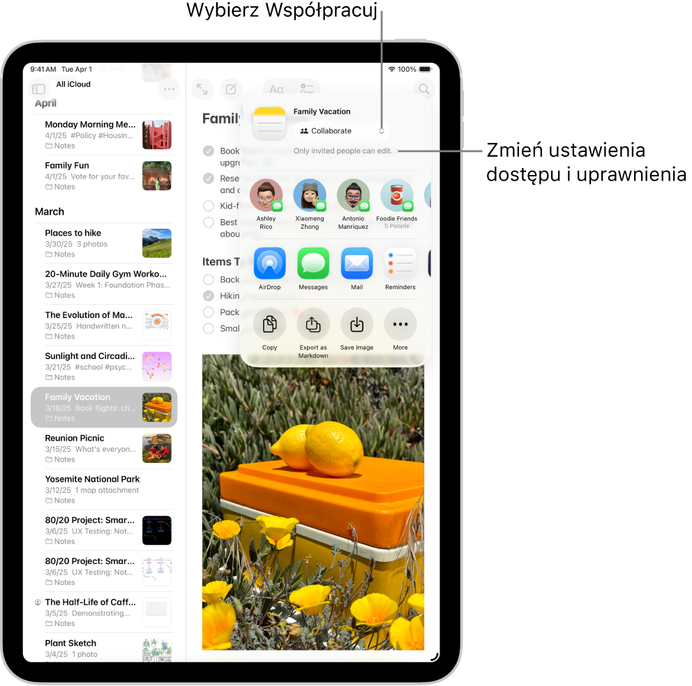 Lista kontrolna w aplikacji Notatki z zaproszeniem do współpracy. Widoczna jest opcja Współpraca oraz etykieta „Tylko zaproszeni przez Ciebie mogą edytować” jako ustawienie dostępu i uprawnień. Poniżej widocznych jest czworo sugerowanych odbiorców, w tym jedna grupa. Dalej widoczne są różne metody udostępnienia notatki: AirDrop, Wiadomości, Poczta oraz Przypomnienia. Ostatni rząd zawiera przyciski umożliwiające skopiowanie, wyeksportowanie oraz zachowanie notatki.