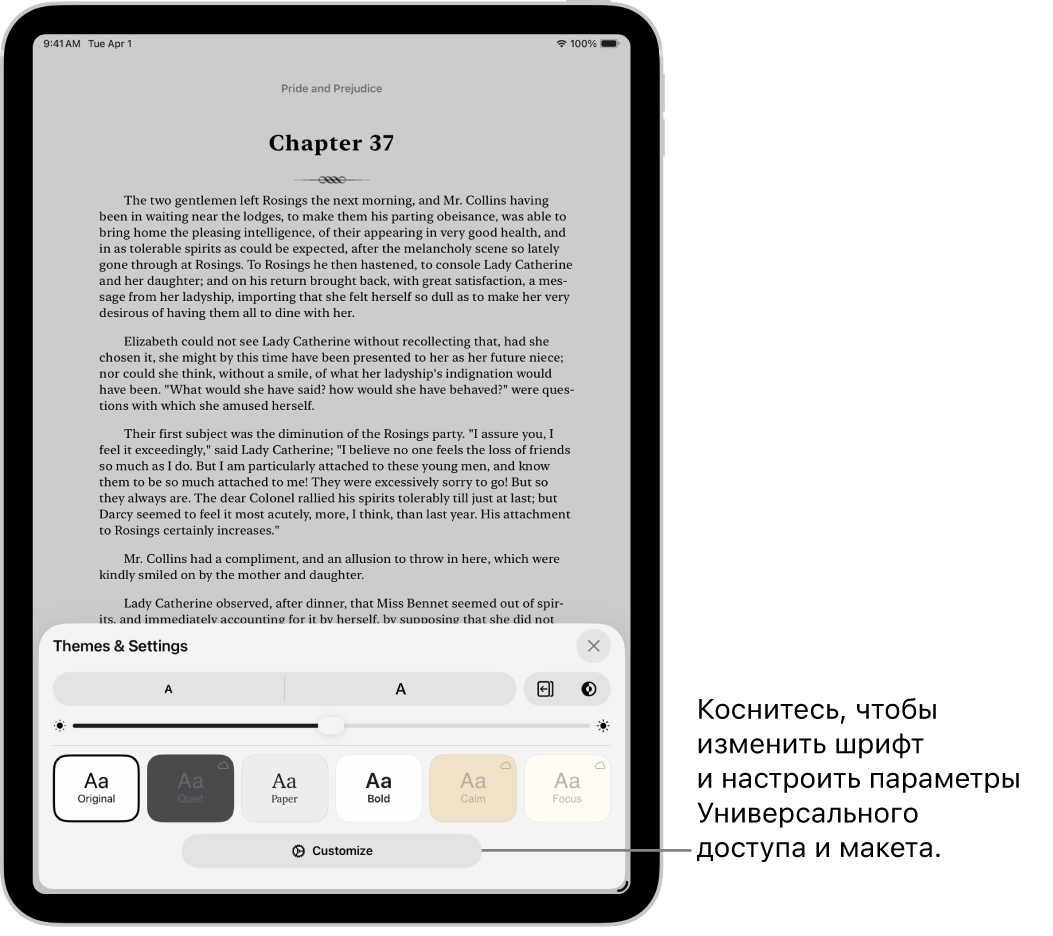Страница книги в приложении «Книги». В параметрах «Темы и настройки» показаны элементы управления размером шрифта, прокруткой, стилем перелистывания страниц, яркостью и стилями шрифта.