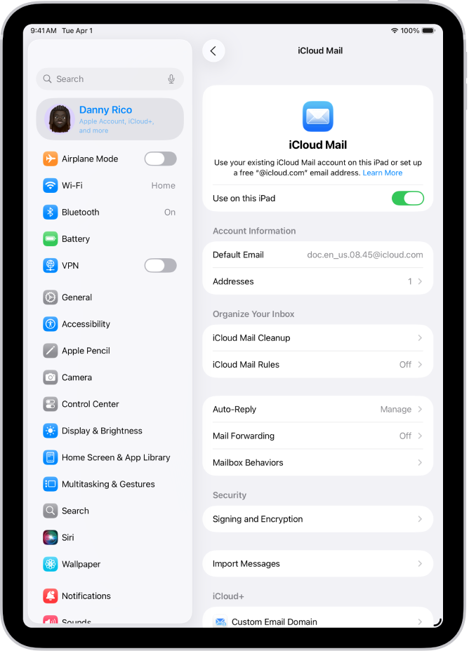 Appen Inställningar är öppen på skärmen Mail på iCloud. Anpassad e-postdomän finns längst ned på skärmen.