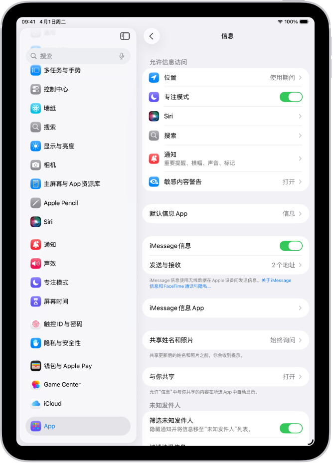 “信息”设置面板中的“iMessage 信息”已打开。