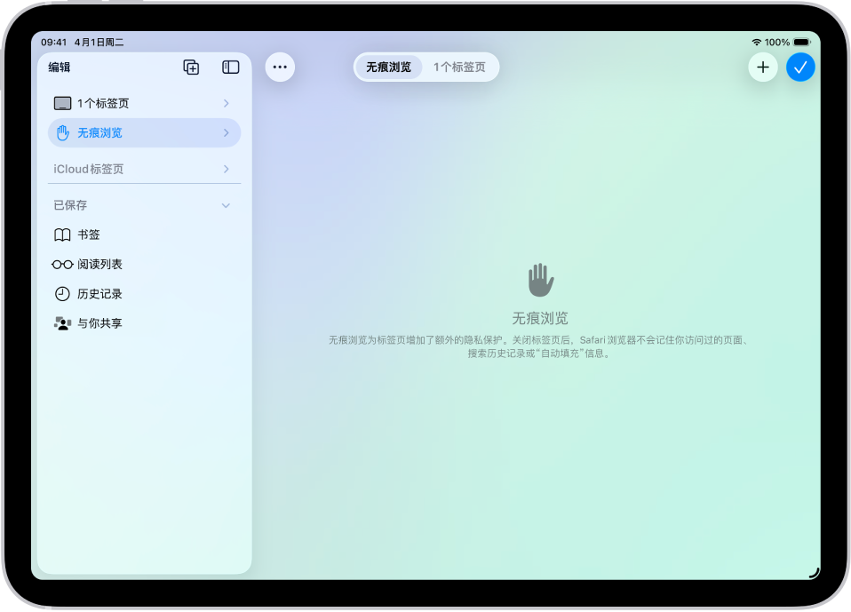 Safari 浏览器窗口左侧已打开 Safari 浏览器边栏,且“无痕浏览”已选中。右侧说明显示 Safari 浏览器不会记住你的浏览活动。