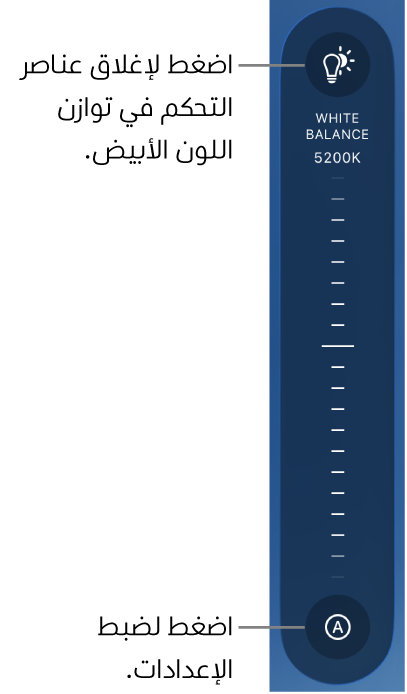 قرص توازن اللون الأبيض، مع زر تلقائي في الأسفل.