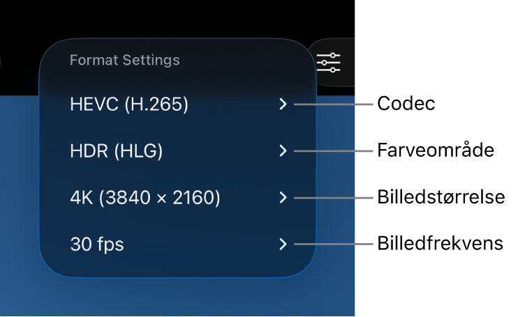 Menuen Formatindstillinger med indstillinger til codec, farveområde, billedstørrelse og billedfrekvens.