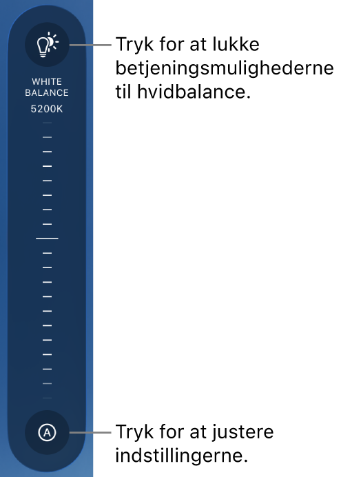 Hvidbalancemærket med knappen Auto nederst.