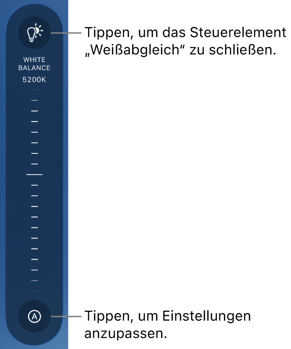 Der Regler für den Weißabgleich mit der Taste „Auto“ am unteren Rand.