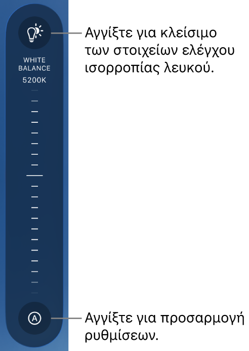 Το περιστροφικό κουμπί Ισορροπίας λευκού και ένα κουμπί «Αυτόματο» στο κάτω μέρος.