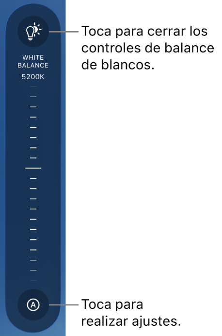 El dial de balance de blancos con el botón Automático al final.