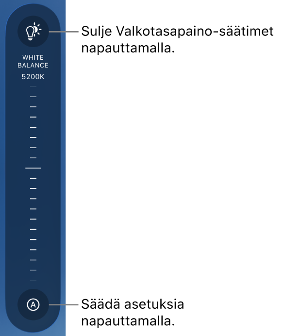 Valkotasapaino-valitsin, jonka alapuolella on Automaattinen-painike.