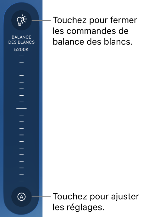 La molette « Balance des blancs » avec un bouton Auto au bas.