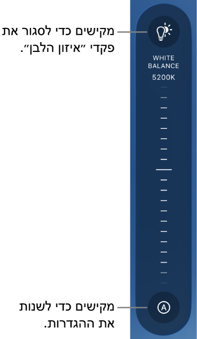 החוגה של ״איזון הלבן״ והכפתור ״אוטומטי״ בחלק התחתון שלה.