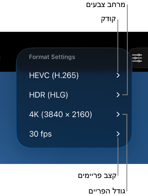 התפריט ״הגדרות פורמט״ מציג, מלמעלה למטה, הגדרות של ערכת קידוד, מרחב צבעים, גודל פריים וקצב פריימים.