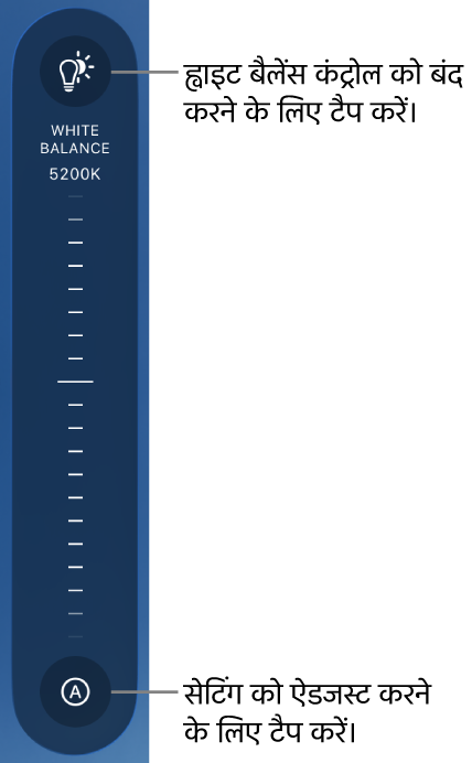 नीचे मौजूद ऑटो बटन के साथ ह्वाइट बैलेंस डायल।