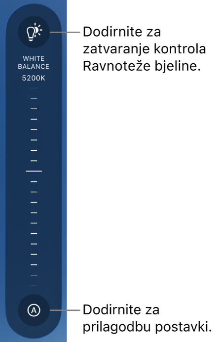 Kotačić za ravnotežu bjeline s tipkom Automatski na dnu.