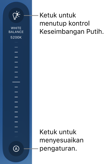 Dial Imbang Putih, dengan tombol Otomatis di bagian bawah.