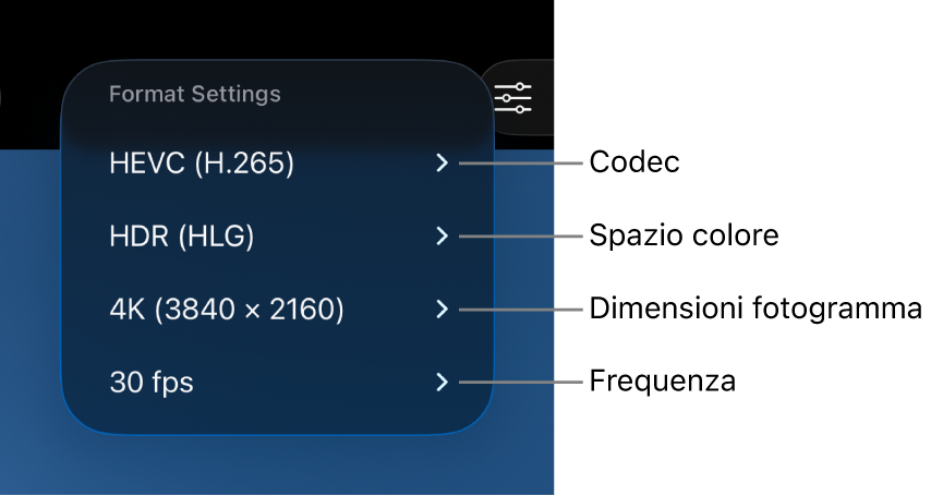 Il menu “Impostazioni formato” mostra, dall’alto verso il basso, le impostazioni per codec, spazio colore, dimensioni fotogramma e frequenza fotogrammi.